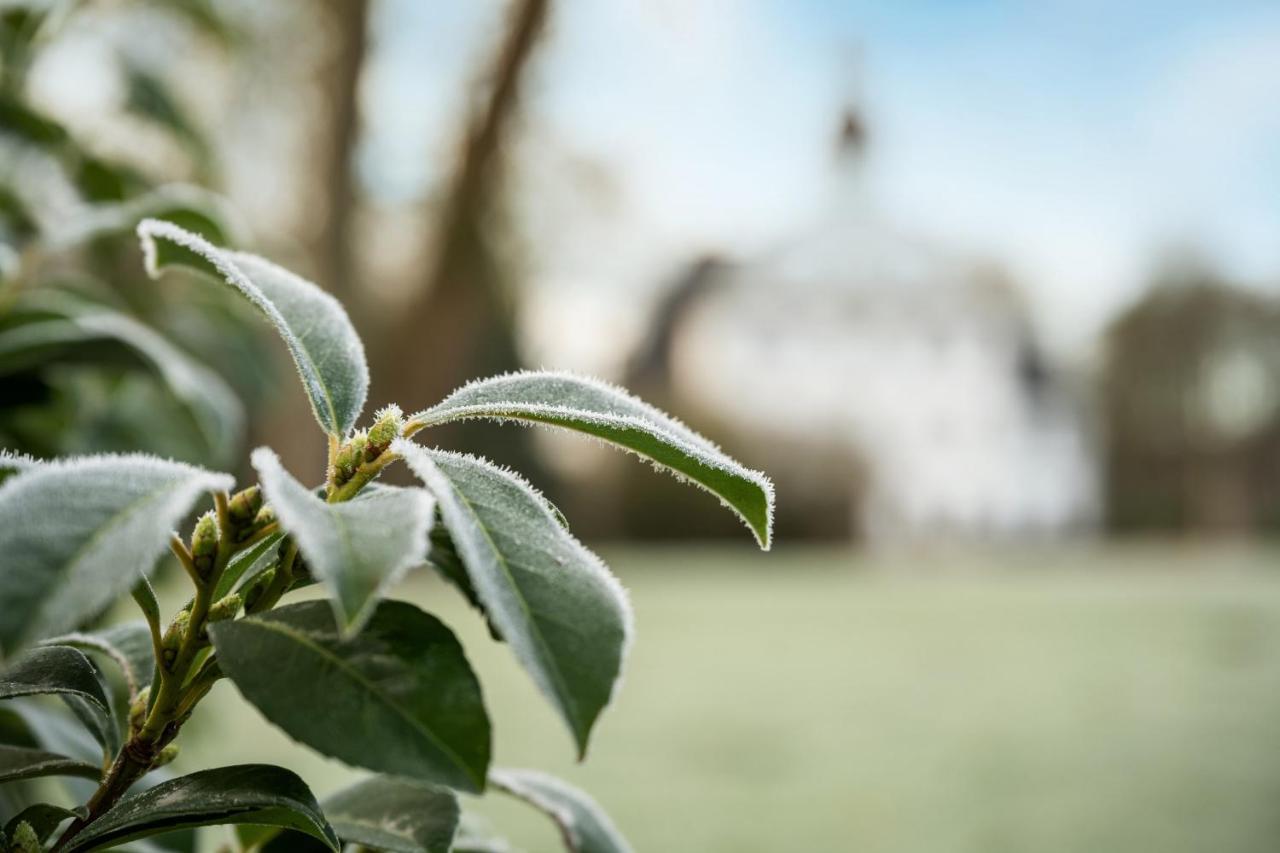 Penthousewohnung im Schloss Kletkamp Exterior foto